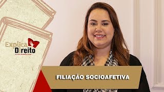 Explica Direito Filiação Socioafetiva  2019 [upl. by Ennahgiel997]